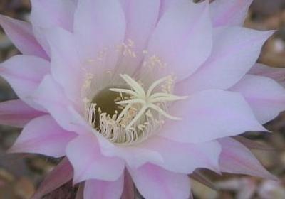 议论文万能名言(精选20句) 议论文万能名言(精选20句)