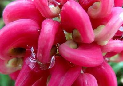 超短名言警句(推荐80句)