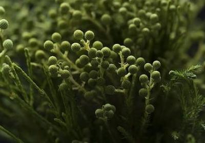 韩寒的经典语录(推荐60句)