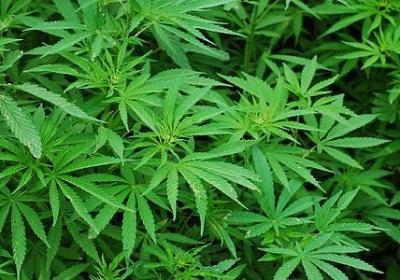 长篇情感语录(推荐80句)