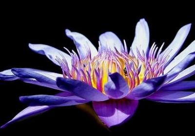 积累读书的名言(优选51句)