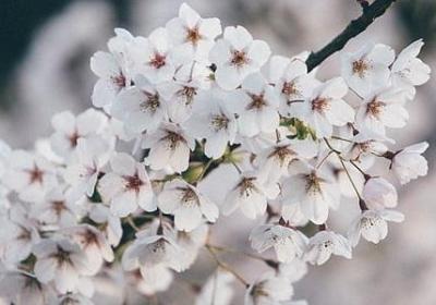 经典励志名言(共50句)