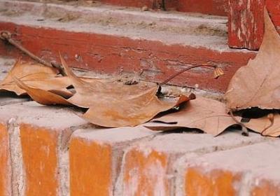 自强的名言警句(40句)