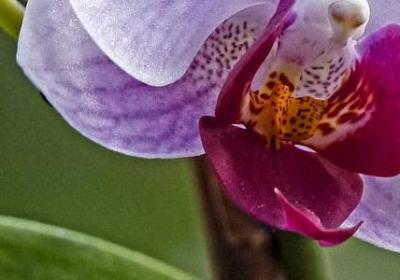 英语名言带翻译(必备50句)