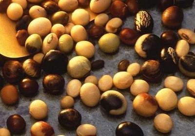 至理名言的句子(共140句) 至理名言的句子(共140句)