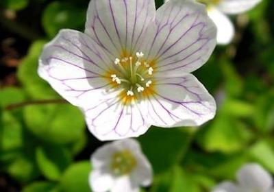 科比名言英语(优选22句) 科比名言英语(优选22句)