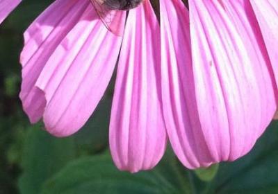 积累名人名言(优选60句) 积累名人名言(优选60句)