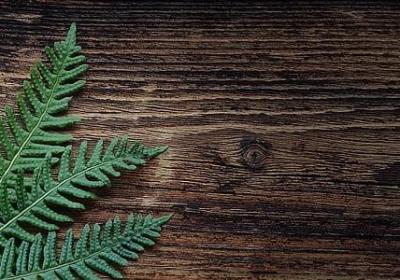 自主学习的名言(优选80句)