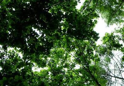 结果重要的名言(共39句) 结果重要的名言(共39句)