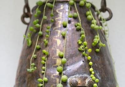 英文名言爱情(热门68句) 英文名言爱情(热门68句)