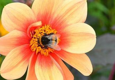 艰苦奋斗的名言警句(精选80句) 艰苦奋斗的名言警句(精选80句)