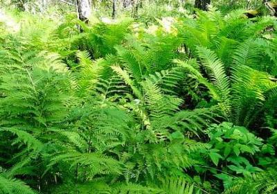 篮球的励志名言(精选40句) 篮球的励志名言(精选40句)