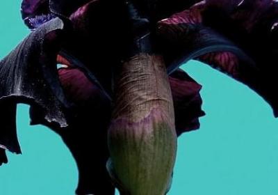 艰苦奋斗的名言(热门100句) 艰苦奋斗的名言(热门100句)