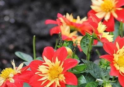 经典名人名言(必备96句) 经典名人名言(必备96句)