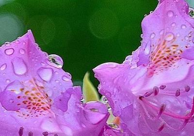 英语名言短句(共152句) 英语名言短句(共152句)