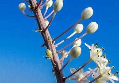 英语的名言名句(实用120句) 英语的名言名句(实用120句)