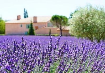 自己的事情自己做的名言(精选20句) 自己的事情自己做的名言(精选20句)