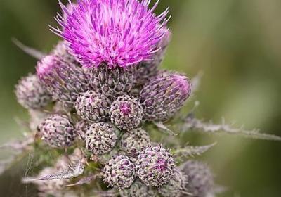 诚实守信名人名言(必备50句) 诚实守信名人名言(必备50句)