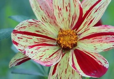 跟时间有关的名言(实用70句)