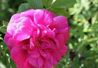 跟诚信有关的名言(实用72句) 跟诚信有关的名言(实用72句)