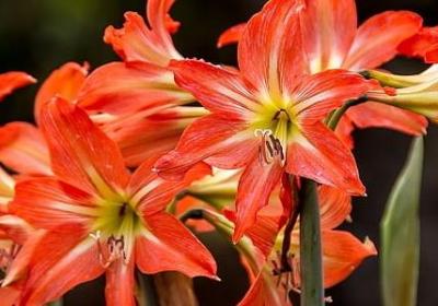 表达父爱的名言(共40句) 表达父爱的名言(共40句)