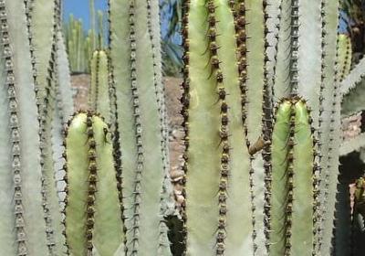 身心健康名言(必备40句) 身心健康名言(必备40句)