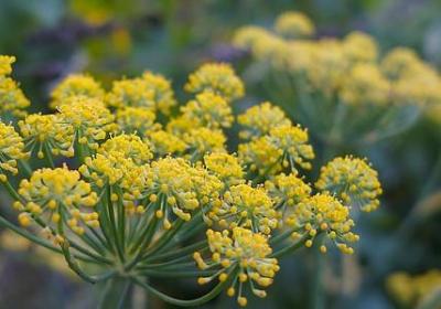 逆境成长的名言(实用80句) 逆境成长的名言(实用80句)