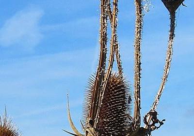 释迦牟尼名言(通用70句) 释迦牟尼名言(通用70句)