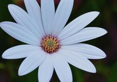 读书名言小学生(通用30句) 读书名言小学生(通用30句)