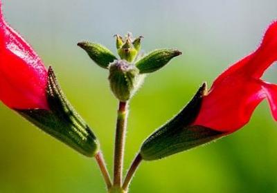 西部世界名言(必备20句) 西部世界名言(必备20句)