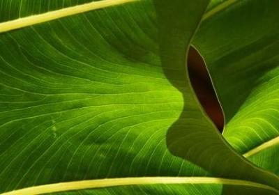 要讲诚信的名言(实用80句) 要讲诚信的名言(实用80句)