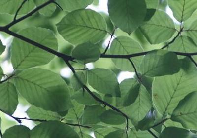 读书的名言5句(通用5句) 读书的名言5句(通用5句)