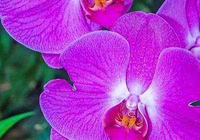 表示坚持不懈的名言(合集120句) 表示坚持不懈的名言(合集120句)