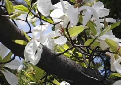 西方哲学名言(合集20句) 西方哲学名言(合集20句)