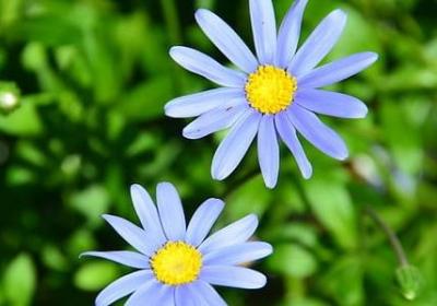 追求幸福的名言(精选50句) 追求幸福的名言(精选50句)