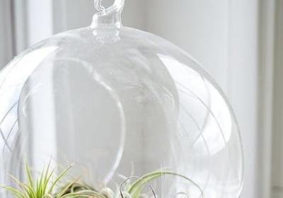 逆境的名言警句(优选50句)