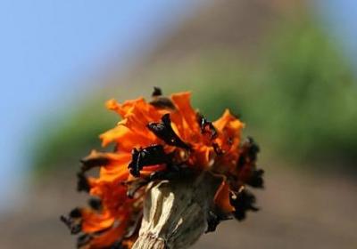 英语名言翻译(必备140句)