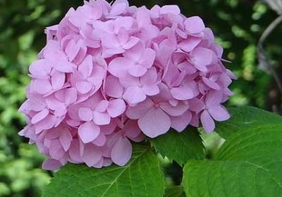 简爱中的名言(合集35句) 简爱中的名言(合集35句)