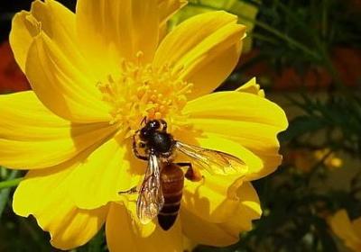 笑的名言名句(80句) 笑的名言名句(80句)