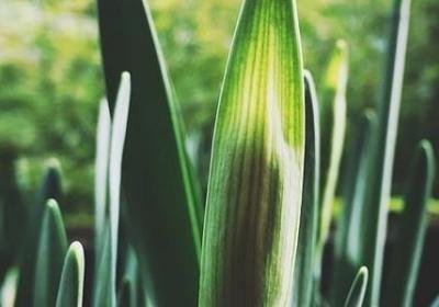 老子说过的名言(精选20句) 老子说过的名言(精选20句)