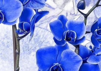 禁毒的名言名句(精选100句) 禁毒的名言名句(精选100句)