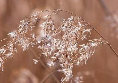 离别的名言名句(合集95句) 离别的名言名句(合集95句)