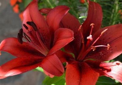 节约的名人名言(汇总48句) 节约的名人名言(汇总48句)