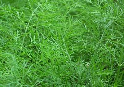 笑对生活的名言(必备40句) 笑对生活的名言(必备40句)