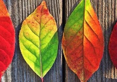 科学的名言警句(必备60句)