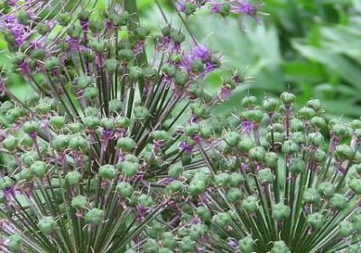 道德的名言名句(热门20句)