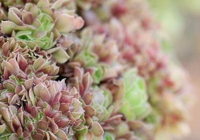 蔡徐坤的名言(优选40句) 蔡徐坤的名言(优选40句)