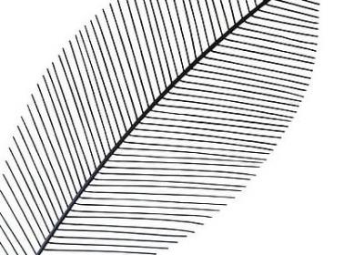 读书的意义名言(精选40句) 读书的意义名言(精选40句)