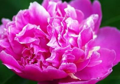 论语名言警句(88句) 论语名言警句(88句)