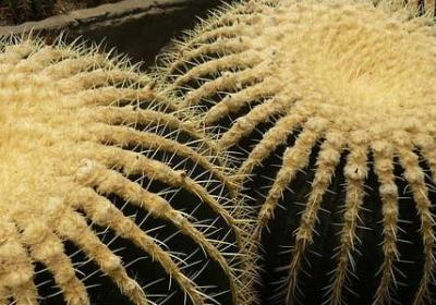 言而有信的名言(共60句) 言而有信的名言(共60句)